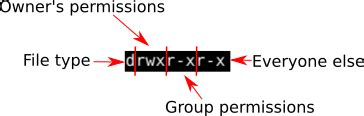 chmod 777 vs 775 vs 755|Understanding The Difference Between Chmod 777 And 755.